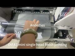 Modelo A3 Mini Impresora DTF de 13 pulgadas con horno de agitación de tinta en polvo CMYKW y dos cabezas XP600