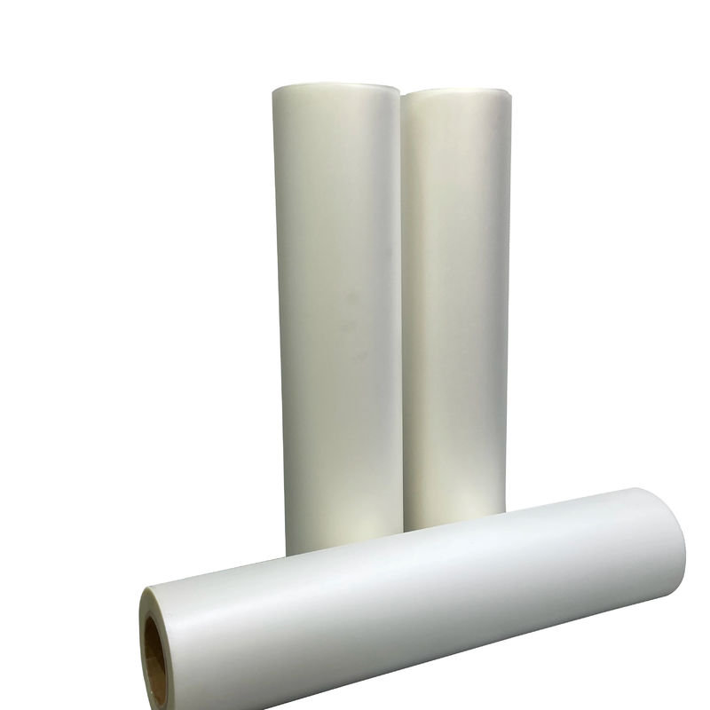 8.5 X 14 13 x 19 20 pulgadas de papel de transferencia de calor de película DTF para impresora de inyección de tinta DTF 24 pulgadas de película PET en blanco